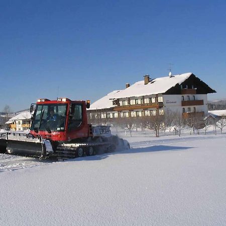 Hotel Maerchenwald Haidmühle Dış mekan fotoğraf
