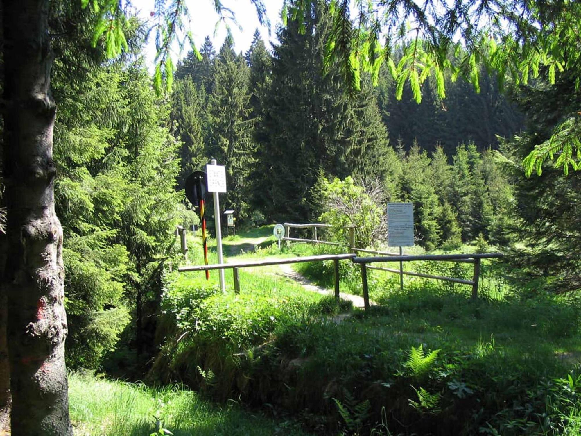 Hotel Maerchenwald Haidmühle Dış mekan fotoğraf